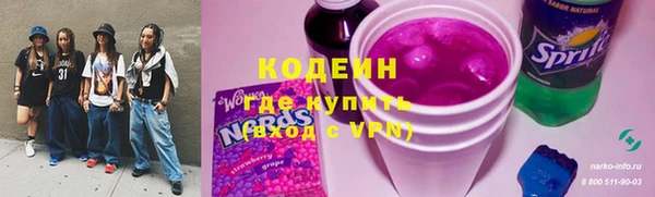 ГАЛЛЮЦИНОГЕННЫЕ ГРИБЫ Арсеньев