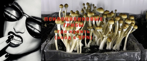 ГАЛЛЮЦИНОГЕННЫЕ ГРИБЫ Арсеньев