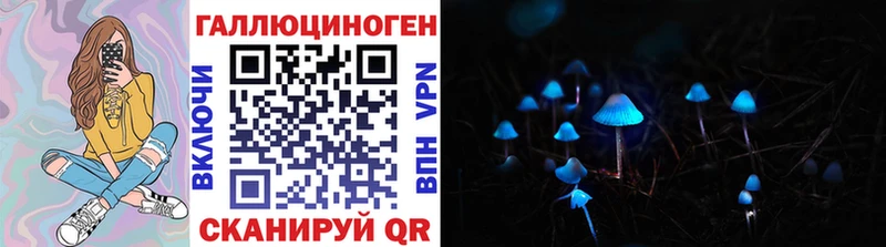 где продают   Баксан  Галлюциногенные грибы Psilocybe 