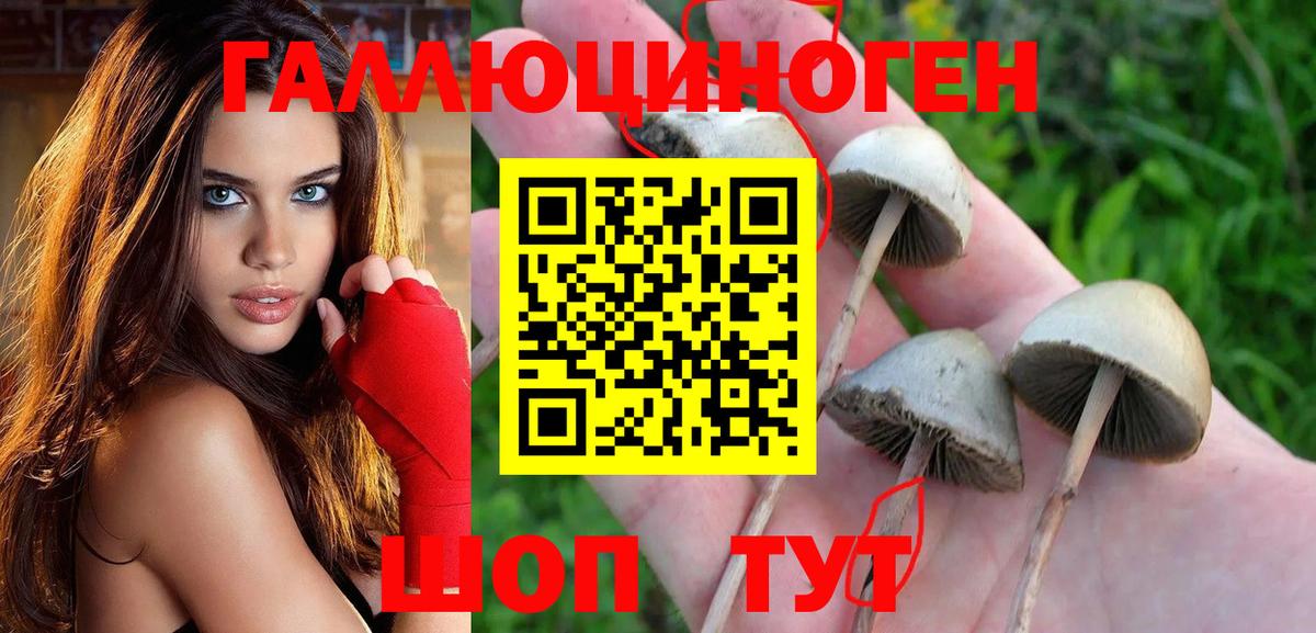 Баксан  COCAIN  Конопля  Как найти закладки?  ГАШ  Вход с VPN  Меф  
