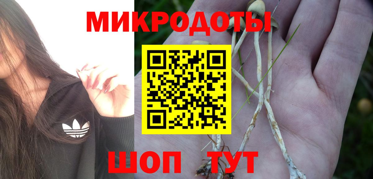Баксан  Галлюциногенные грибы MAGIC MUSHROOMS  Вход с VPN 