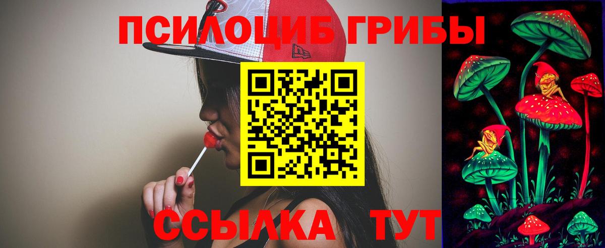 Галлюциногенные грибы Psilocybine cubensis Баксан